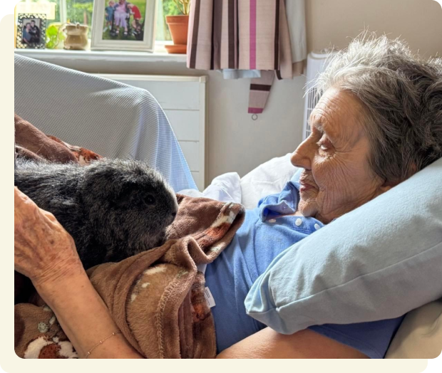 Pet Therapy at The Mellowes