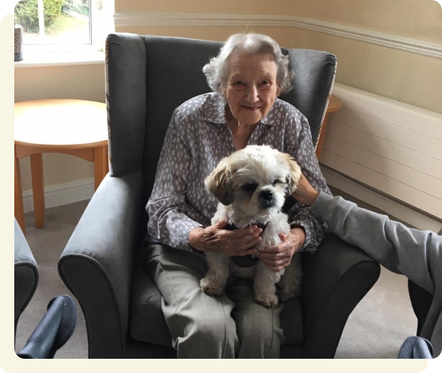 Pet Therapy at The Mellowes