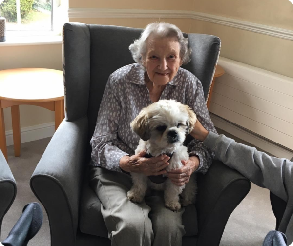 Pet Therapy at the Mellowes