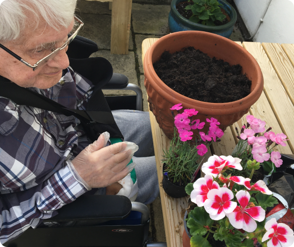 Potting Plants